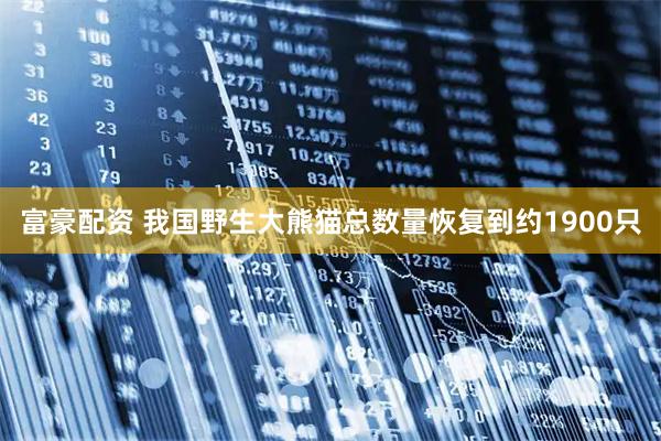 富豪配资 我国野生大熊猫总数量恢复到约1900只