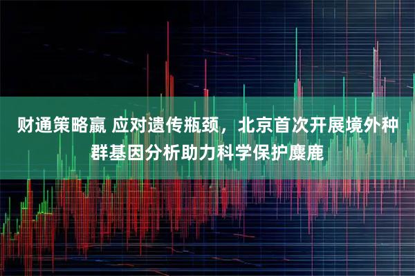 财通策略嬴 应对遗传瓶颈，北京首次开展境外种群基因分析助力科学保护麋鹿