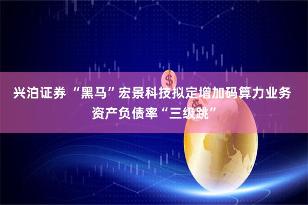 兴泊证券 “黑马”宏景科技拟定增加码算力业务 资产负债率“三级跳”