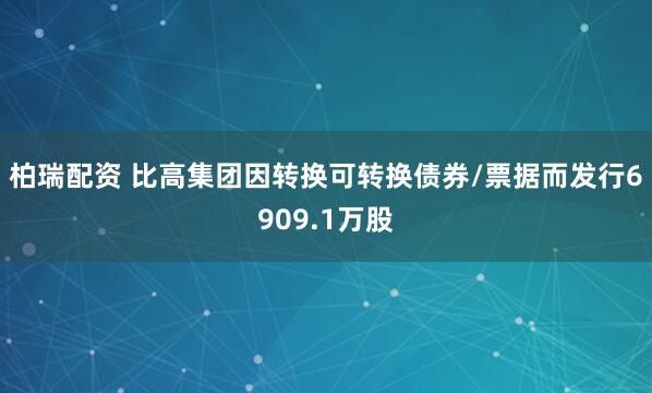 柏瑞配资 比高集团因转换可转换债券/票据而发行6909.1万股